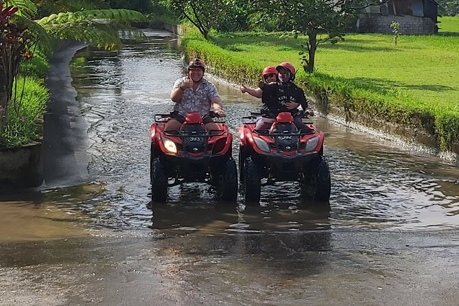 Ubud Bali Driver - Private Driver in Ubud - What the $32 price really covers