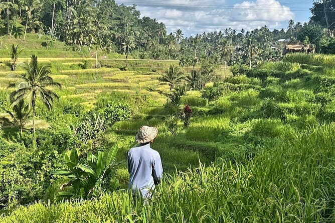 Ubud Bali Driver - Private Driver in Ubud - Tibumana Waterfall and its natural setting