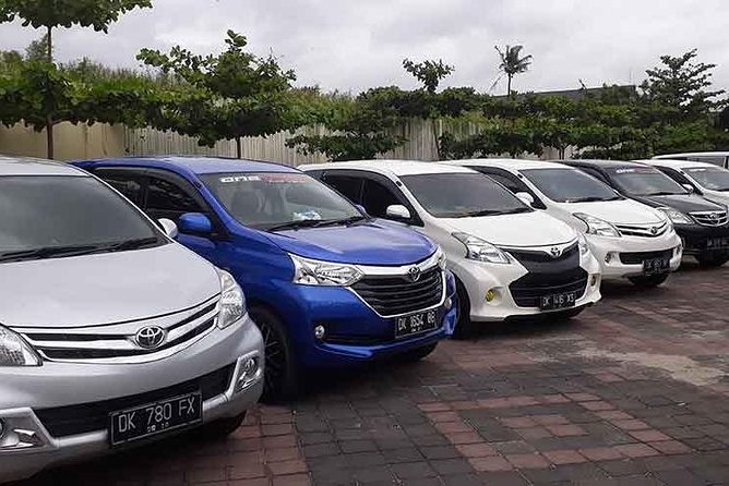 Ubud Bali Private Airport Transfers – Seamless & Stress-Free - Why a private car makes sense for Ubud