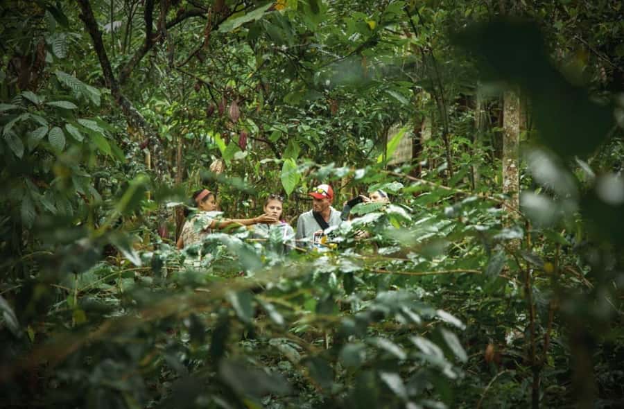 Ubud: Bali Pulina Tour with Swing & Tegallang Rice Terrace - Key points to know before you book