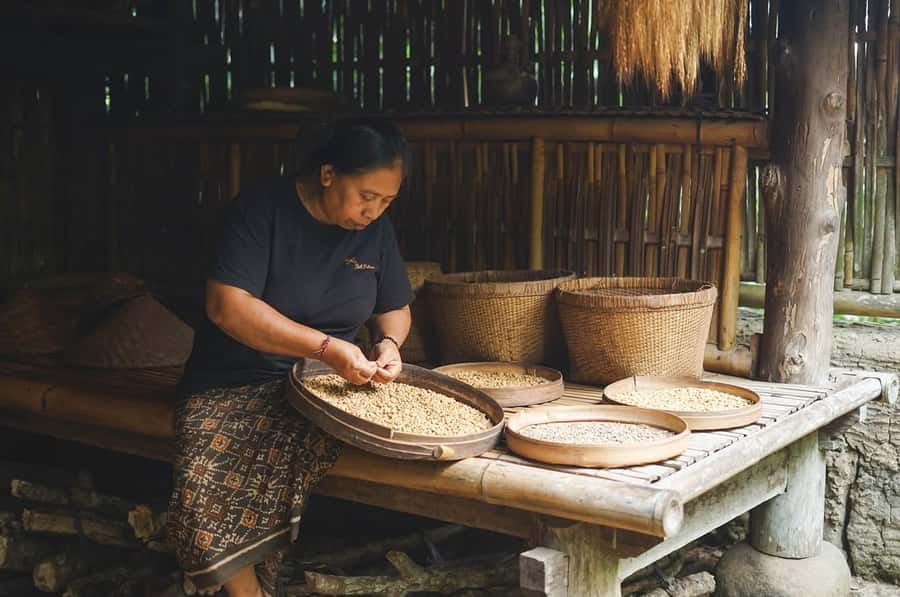 Ubud: Bali Pulina Tour with Swing & Tegallang Rice Terrace - The jungle swing: fun, fast, and not for everyone