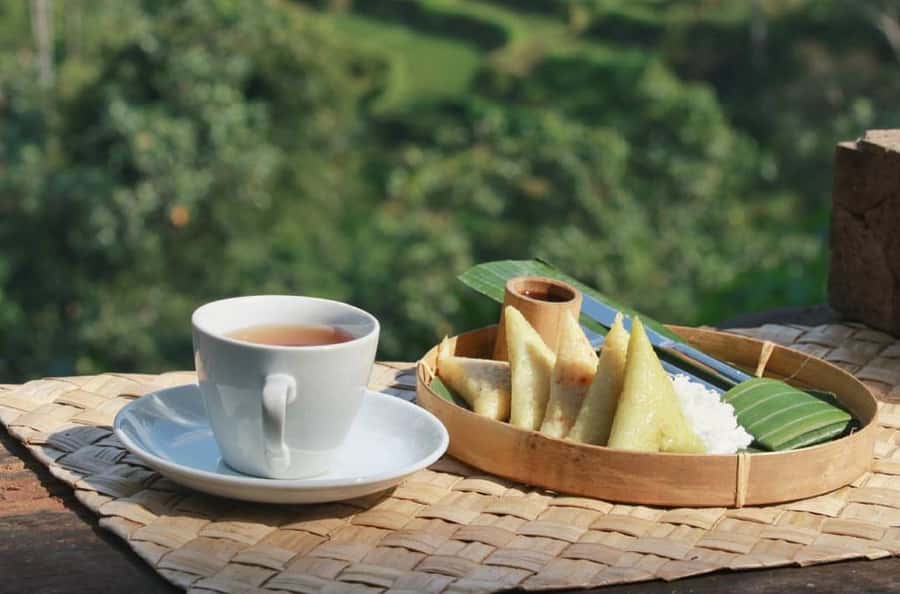 Ubud: Bali Pulina Tour with Swing & Tegallang Rice Terrace - What the guides add to the day