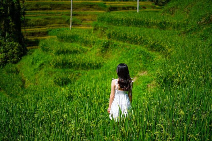 Ubud: Bali Swing hidden waterfall with personal photographer - Is $25 good value for a Bali day tour?