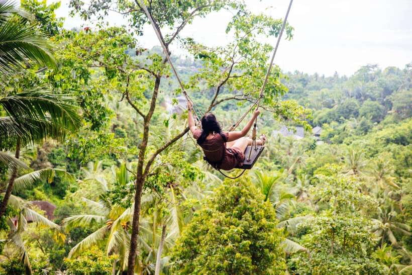 Ubud: Best of Ubud Full-Day Tour with Entry Tickets - Sacred Monkey Forest Sanctuary