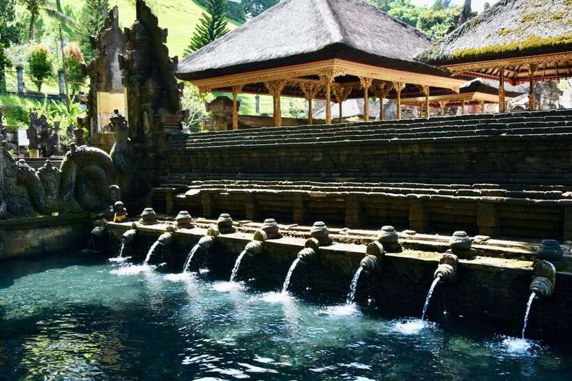 Ubud: Best of Ubud Full-Day Tour with Entry Tickets - Tegallalang Rice Terrace and optional swings