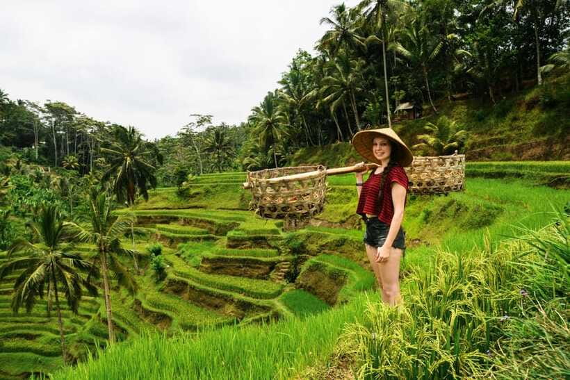 Ubud: Best of Ubud Full-Day Tour with Entry Tickets - Tirta Empul, Bali’s holy spring temple