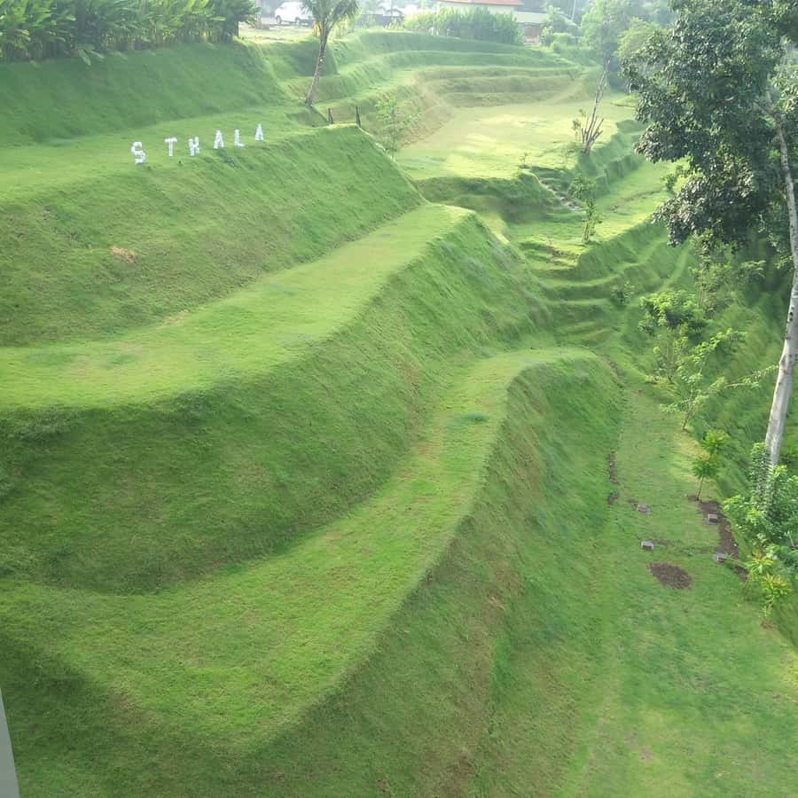 Ubud: Campuhan Ridge Walk, Tegallalang Rice Terrace & More - Guides and the value of a private day