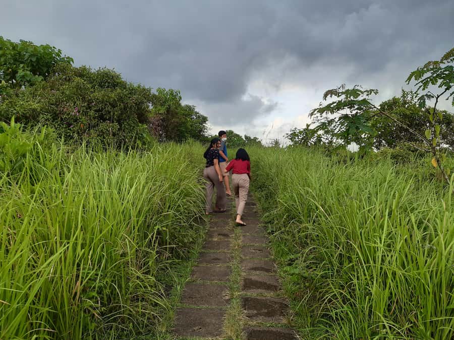Ubud: Campuhan Ridge Walk, Tegallalang Rice Terrace & More - Campuhan Ridge Walk: a calm start in Ubud