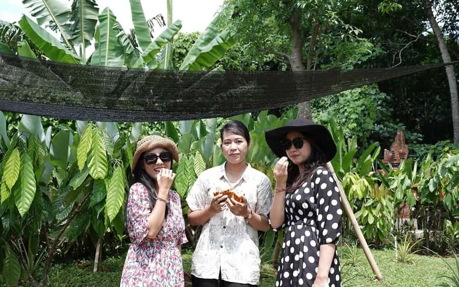 Ubud: Chocolate Workshop, Class & Tasting - Price and practical value at $24