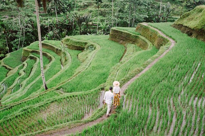 Ubud City Tour II: Monkey Forest, Palace, Art Market, and Rice Terrace - Tegalalang offers the day’s best view