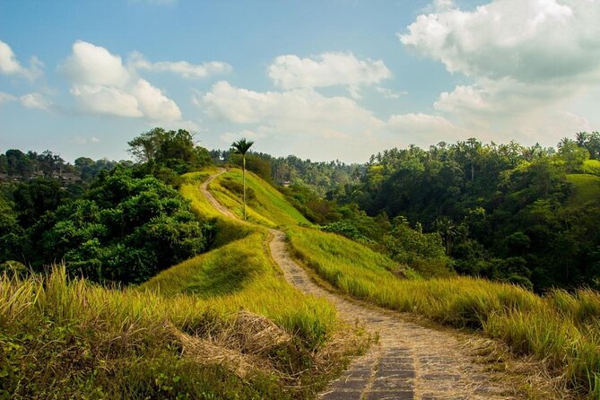 Ubud Countryside Tour: Campuhan Ridge Walk and Rice Terrace - Why this Ubud day tour works