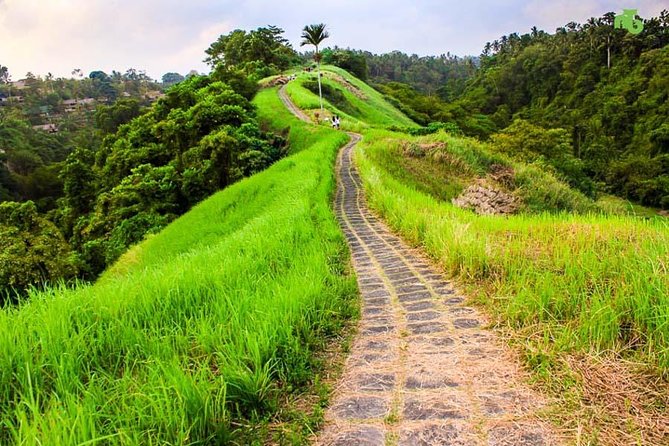 Ubud Countryside Tour: Campuhan Ridge Walk and Rice Terrace - Campuhan Ridge Walk in 30 minutes