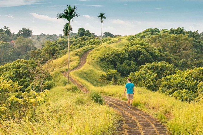Ubud Countryside Tour: Campuhan Ridge Walk and Rice Terrace - Tirta Empul’s holy springs