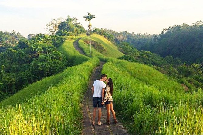 Ubud Countryside Tour: Campuhan Ridge Walk and Rice Terrace - Tegenungan Waterfall for the final nature stop