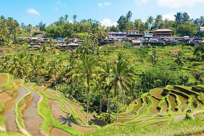 Ubud Countryside Tour: Campuhan Ridge Walk and Rice Terrace - What the $40 price really buys