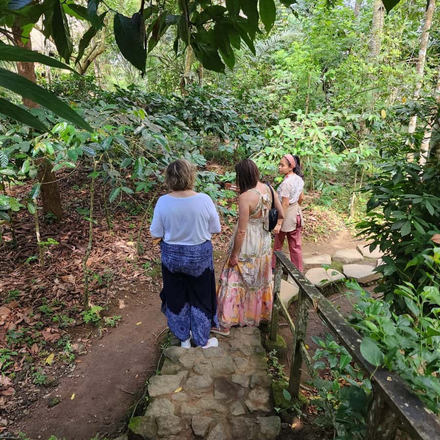 Ubud: Culture and sightseeing tour with Friendly local Guide - Why this Ubud day works well
