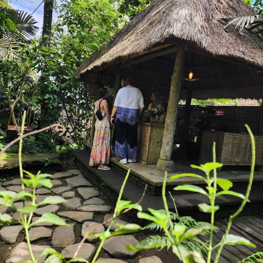 Ubud: Culture and sightseeing tour with Friendly local Guide - Bali Pulina: coffee, views, and a careful buying decision