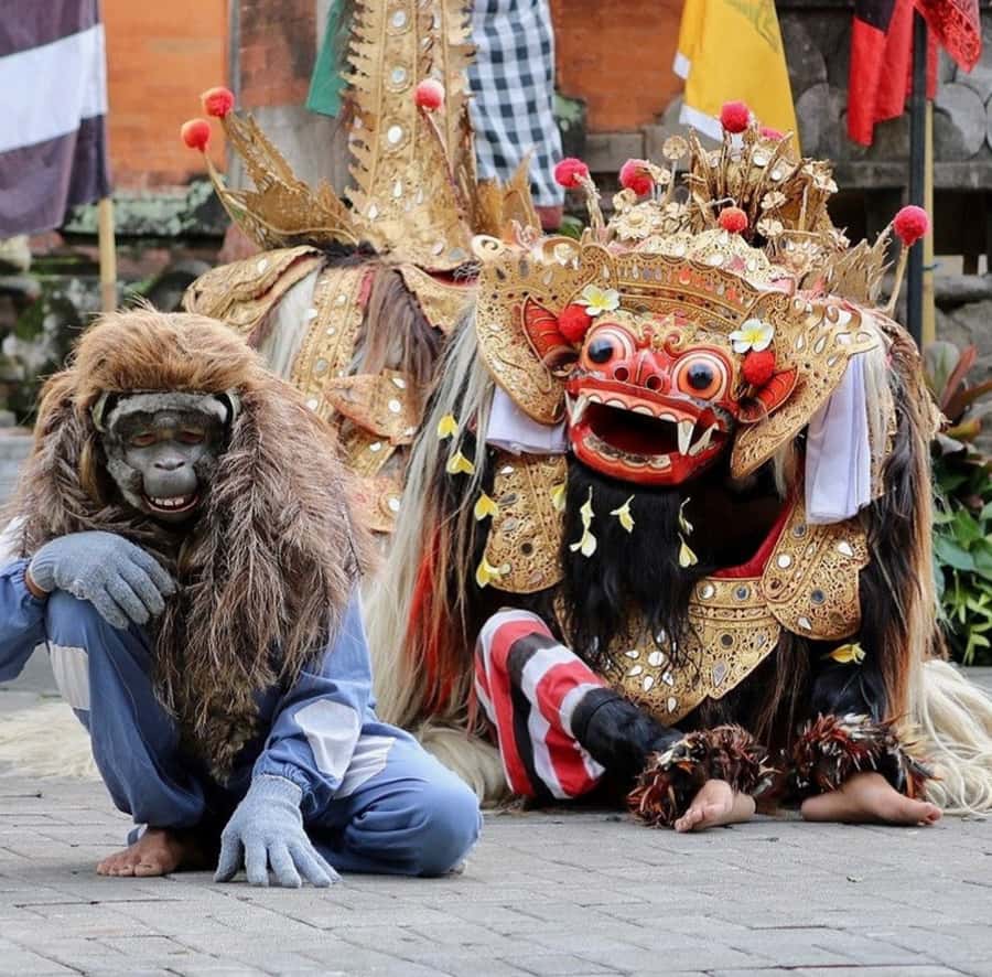 Ubud: Customised private day trip with personal driver - Key points to know before booking