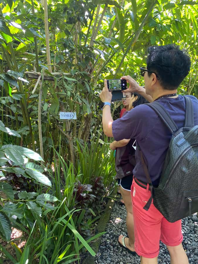 Ubud: Customised private day trip with personal driver - How to plan your eight hours