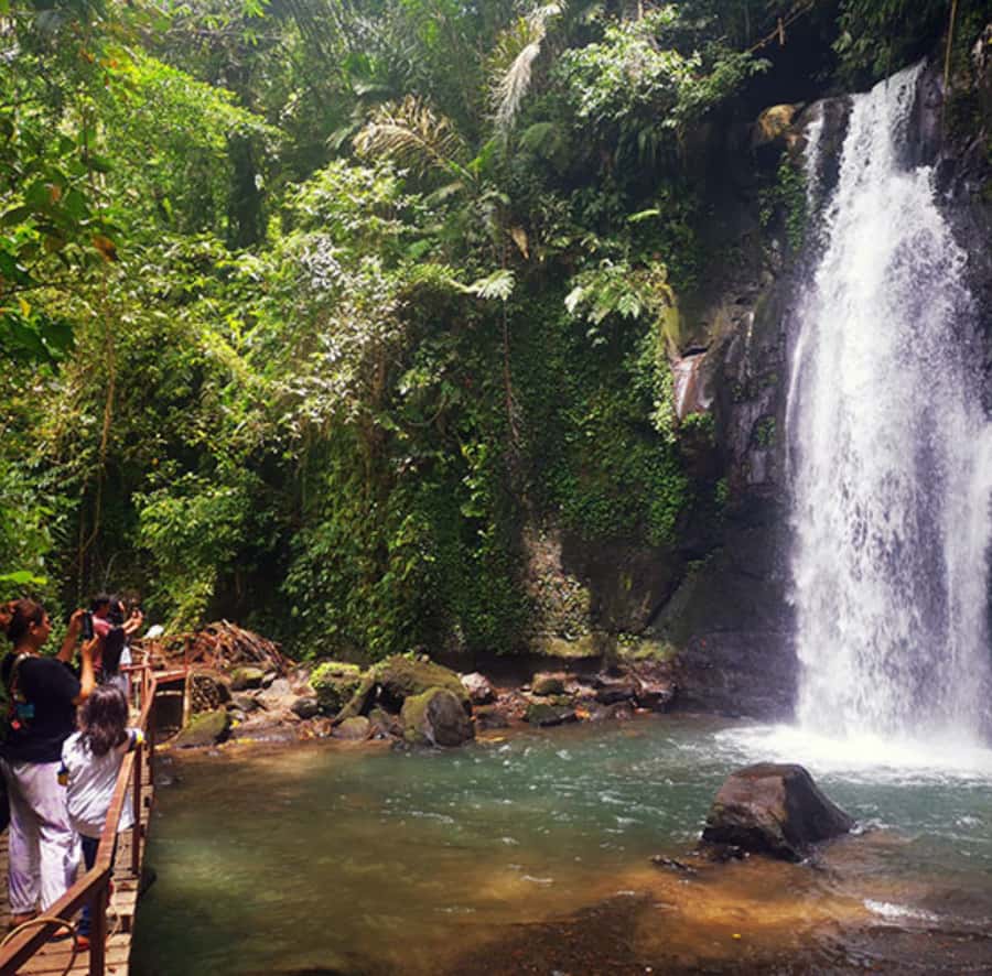 Ubud: Customised private day trip with personal driver - Who will get the most from this tour