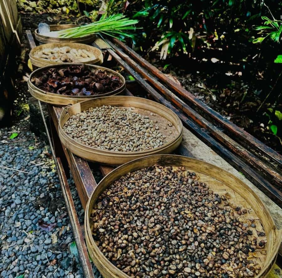 Ubud: Customised private day trip with personal driver - Meeting Nyoman and getting local guidance