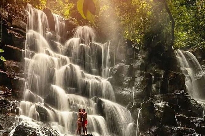 Ubud Customized Full Day Tour - Visit Most favorite In Ubud - A private day built around your Ubud interests