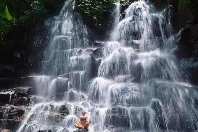 Ubud Customized Full Day Tour - Visit Most favorite In Ubud - Monkey Forest and the busy center of Ubud