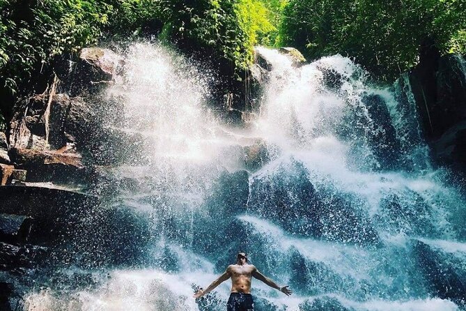 Ubud Customized Full Day Tour - Visit Most favorite In Ubud - The driver and guide are central to the experience