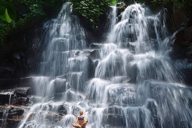 Ubud Customized Full Day Tour - Visit Most favorite In Ubud - Tegalalang Rice Terrace, beautiful but busy