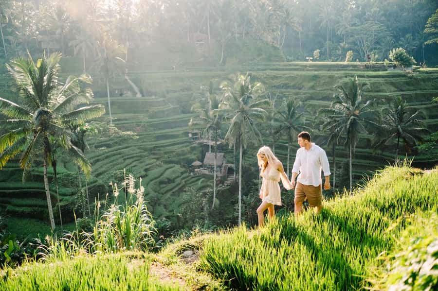 Ubud Customized Tour-Ubud Charter - A private Ubud day with room to change plans