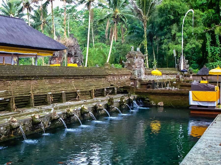 Ubud Customized Tour-Ubud Charter - Tegalalang Rice Terrace begins the scenic part