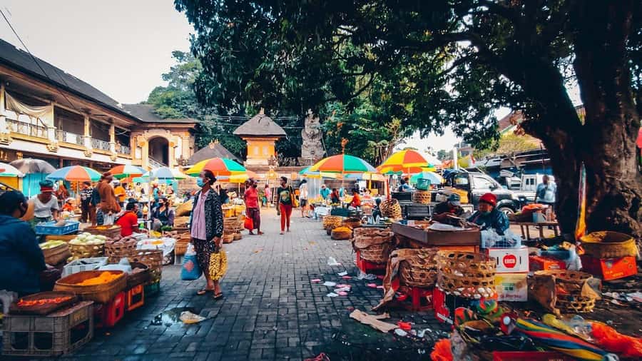 Ubud Customized Tour-Ubud Charter - Ulu Petanu Waterfall is the cooling break