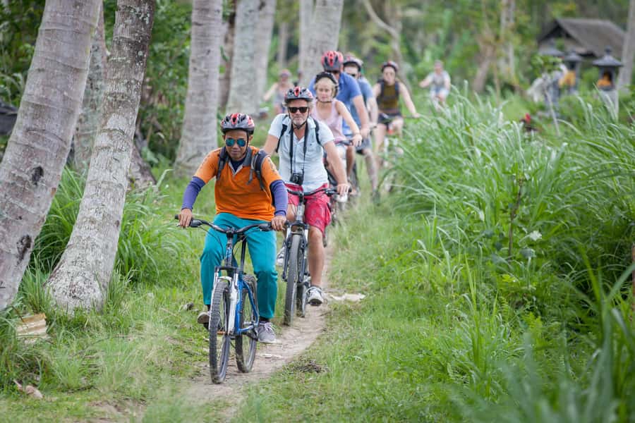 Ubud Cycling Tour : All Inclusive Cycling Adventure - Should you book the Darsa Ubud cycling tour?