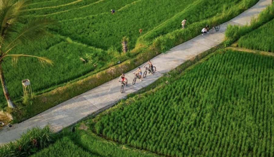 Ubud: Cycling Tour Local Villages, Temple, and Rice Field - Rolling through villages, homes, and a local school