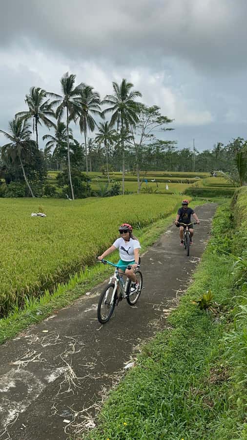 Ubud: Cycling Tour Local Villages, Temple, and Rice Field - Rice fields up close, not just from a viewpoint