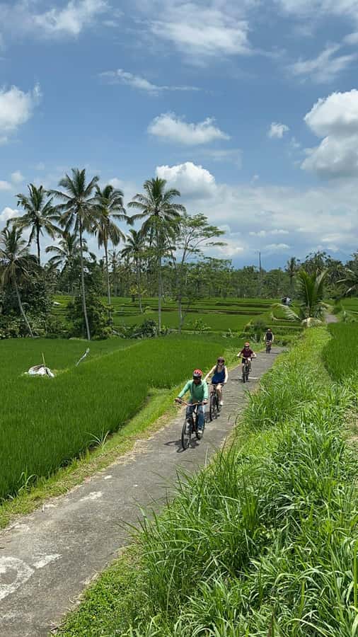 Ubud: Cycling Tour Local Villages, Temple, and Rice Field - The temple stop and Bali’s spiritual side