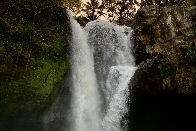 Ubud Day Tour - Private Ubud Tour Guide - Best Of Ubud Tour - What the chauffeur adds to the day