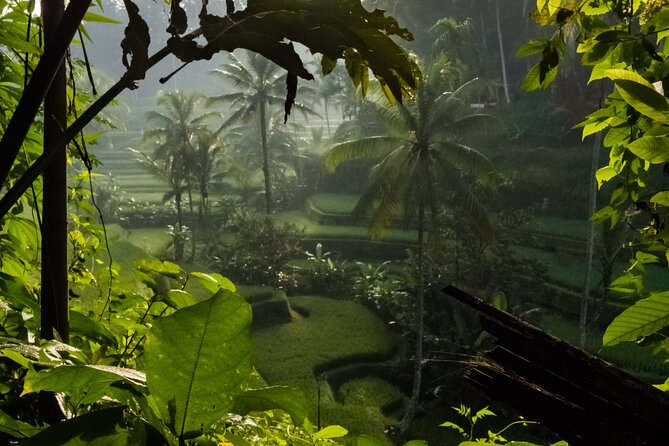 Ubud Day Tour - Top Things to do in Ubud + Local Ubud Guide - Pura Tirta Empul and the meaning of holy water