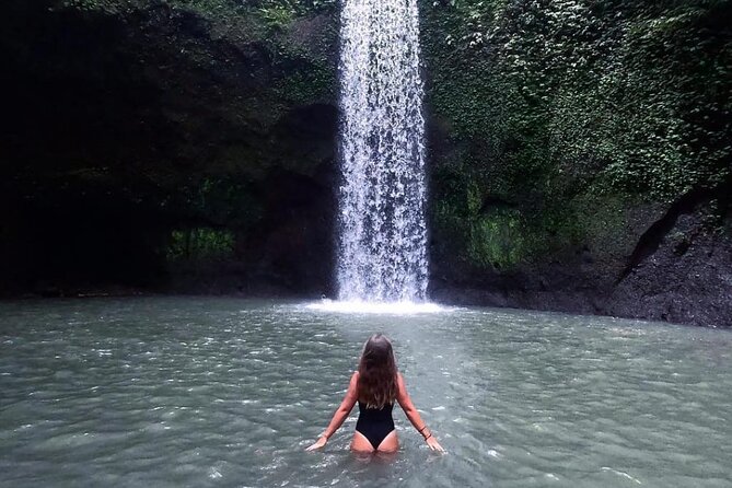Ubud Day Tour : Waterfall, Temple and Local Night Market Tour - Sacred Monkey Forest, where the animals set the rules