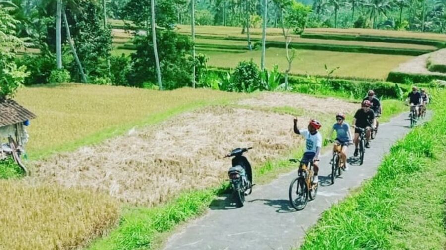 Ubud: Downhill Countryside Cycling From Kintamani - Reaching Ubud after the descent