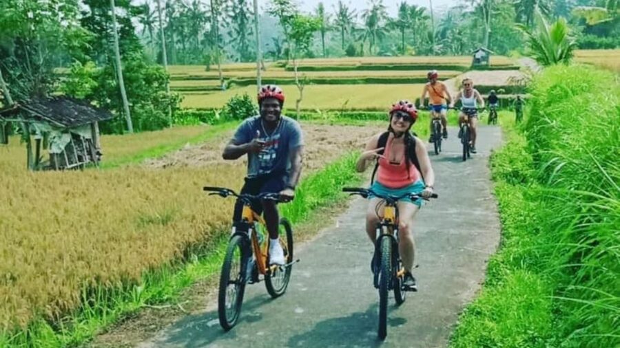 Ubud: Downhill Countryside Cycling From Kintamani - A downhill ride through Bali’s working countryside