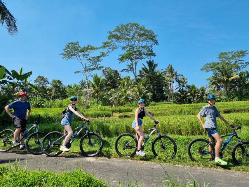 Ubud: Downhill Cycling with Volcano, Rice Terraces, and Meal - Should you book it?