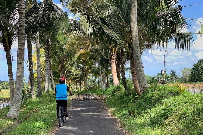 Ubud: Downhill Cycling with Volcano, Rice Terraces and Meal - A local school and a closer look at Balinese life