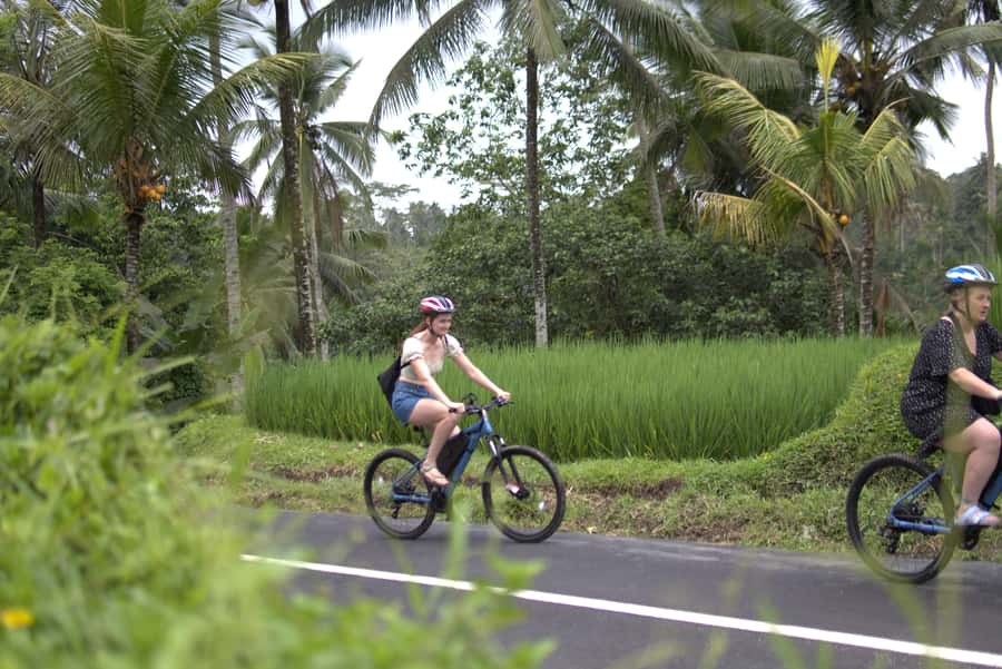 Ubud: E-Bike Tour with Rice Terrace and Village Visit - Key points to know before you book