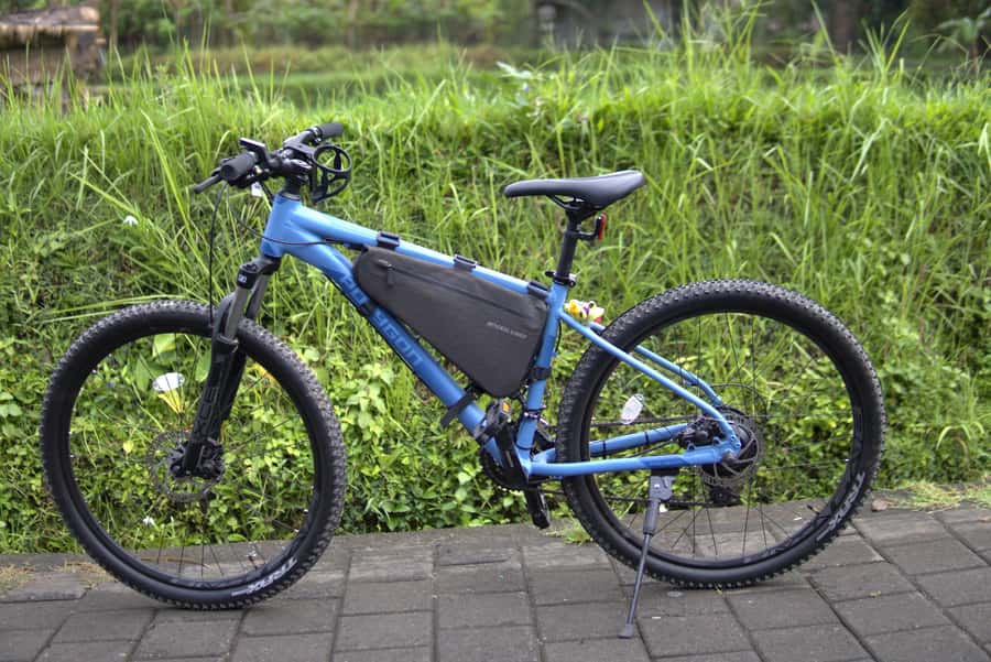 Ubud: E-Bike Tour with Rice Terrace and Village Visit - Coffee, tea, and optional activities
