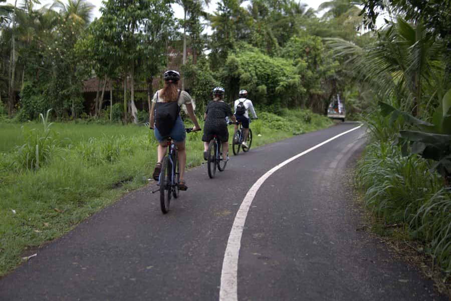 Ubud: E-Bike Tour with Rice Terrace and Village Visit - Starting with the bikes and safety briefing
