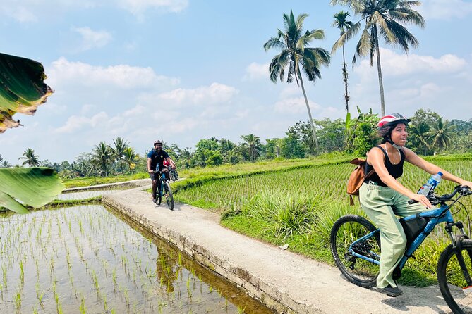 Ubud eBikes Tour to Tegallalang Rice Terrace - Petulu and the village roads