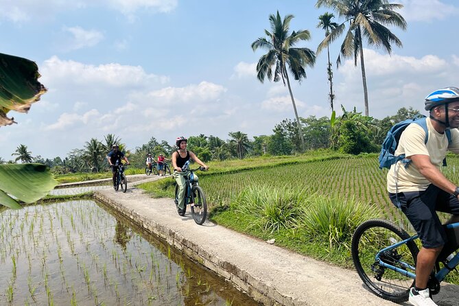 Ubud eBikes Tour to Tegallalang Rice Terrace - Temples, Hindu customs, and the coffee stop