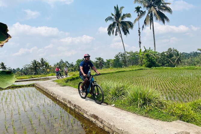 Ubud eBikes Tour to Tegallalang Rice Terrace - Riding into Tegallalang Rice Terrace