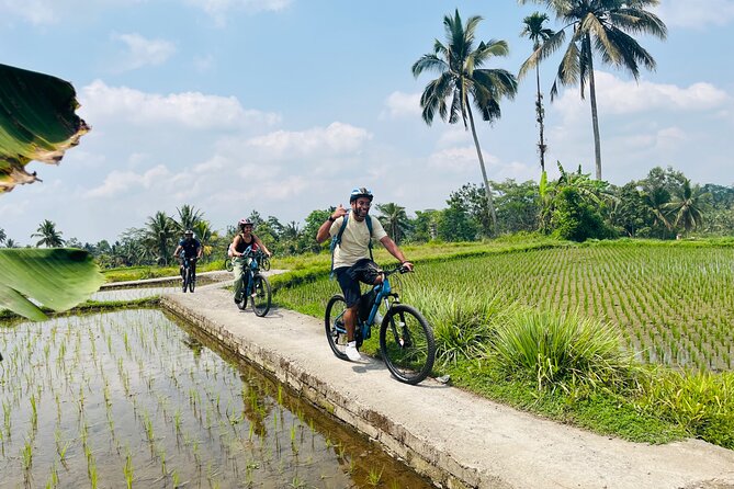 Ubud eBikes Tour to Tegallalang Rice Terrace - Balinese lunch above the rice fields